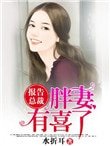 《報告總裁,胖妻有喜了》