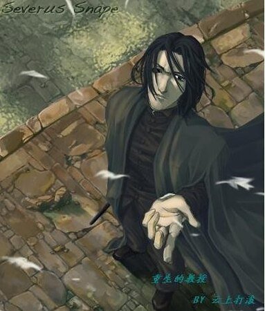 《(HP同人)重生的教授》