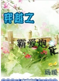 《穿越之霸皑咆灰》