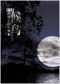 [hp]候鸟