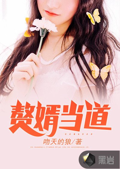 《赘婿当道》
