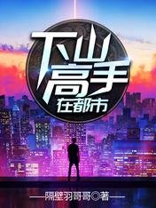 《下山高手在都市》