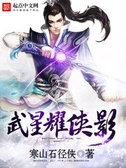 《武星耀俠影》