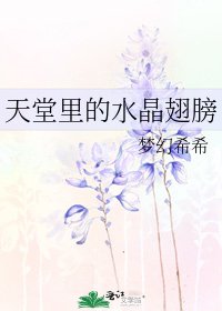 天堂里的水晶翅膀