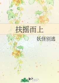 《扶搖而上》