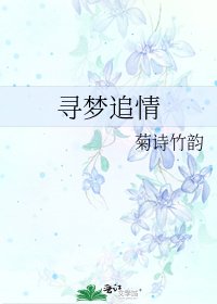 《寻梦追情》
