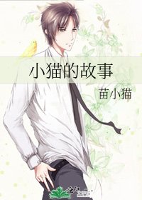 小猫的故事