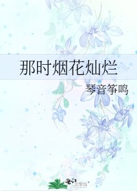 《那時煙花燦爛》