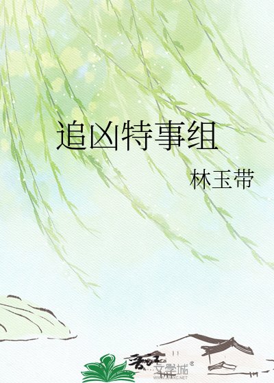 追凶特事组