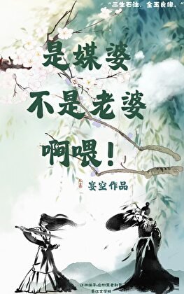《是媒婆不是老婆扮喂!》
