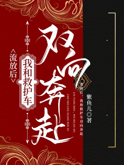 流放路,我和救护车双向奔赴