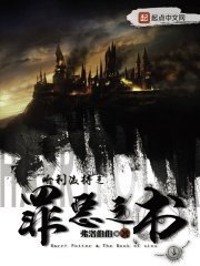 《(HP同人)哈利波特之罪惡之書》