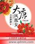 《大唐鳳凰女》